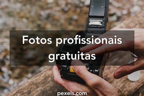 mude photos|Mais de 1.000 imagens grátis de Mude e Mudas